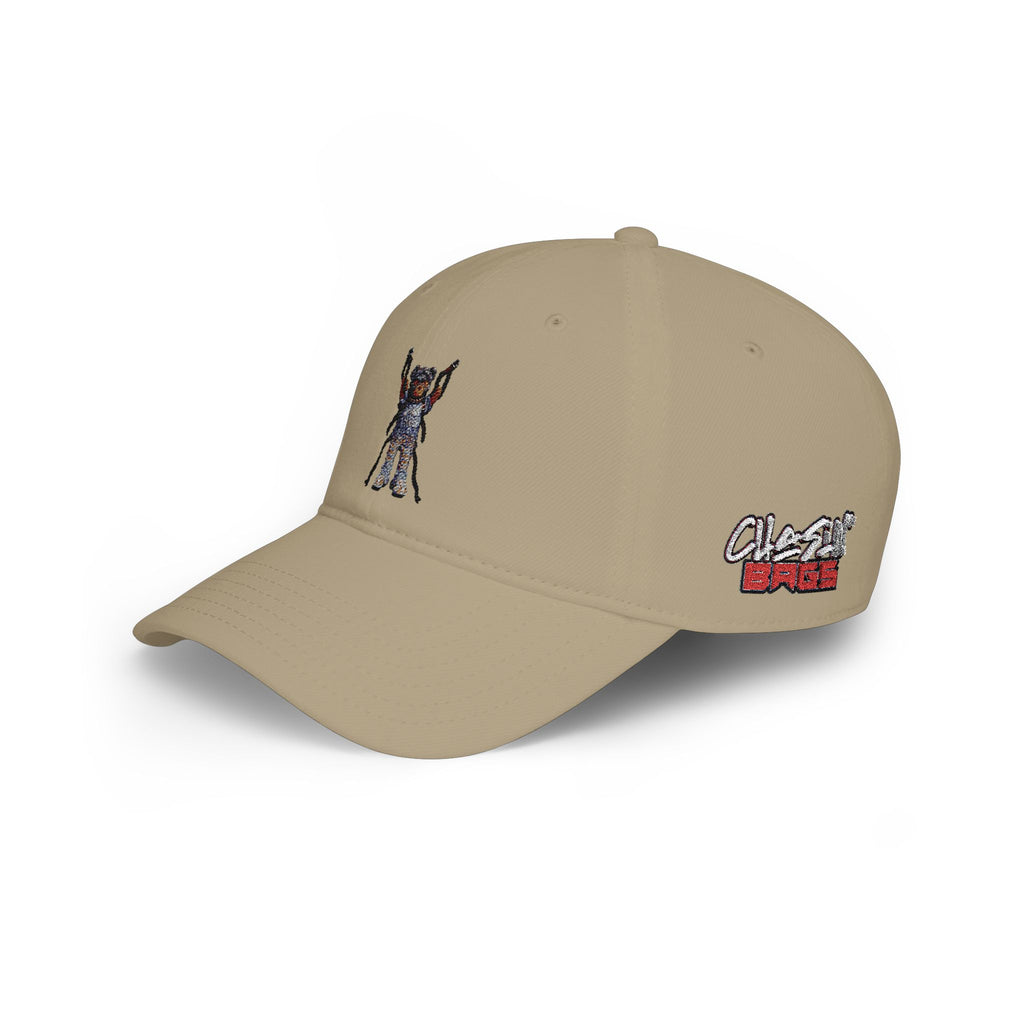 Low Profile Baseball Cap